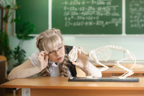 Schoolgirl — Stock Photo, Image