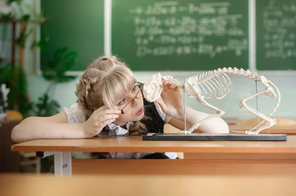 Schoolgirl — Stock Photo, Image