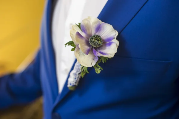 Bouquet of flowers anemone — Stock Photo, Image