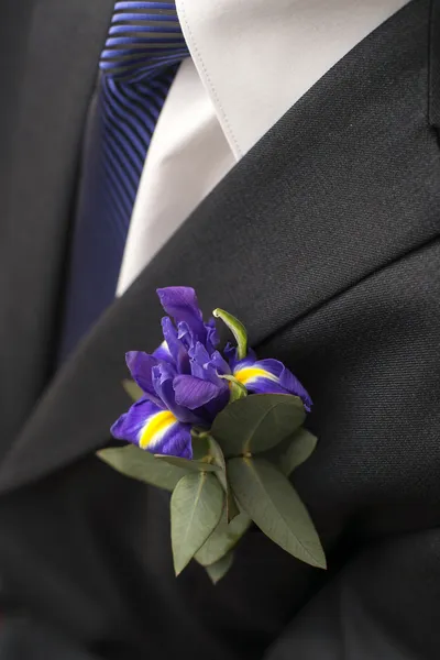 Boutonniere of irises Stock Photo