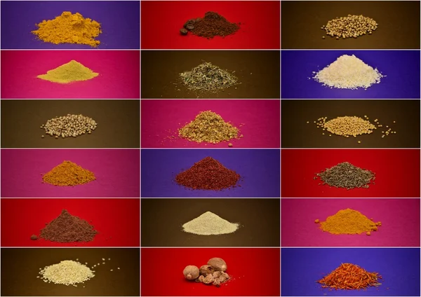 Spice collage — Stock Photo, Image