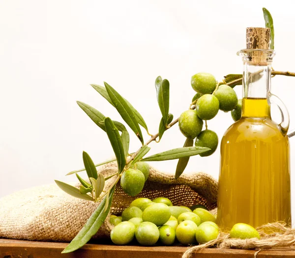 Olive e zagyvaság Stock Fotó