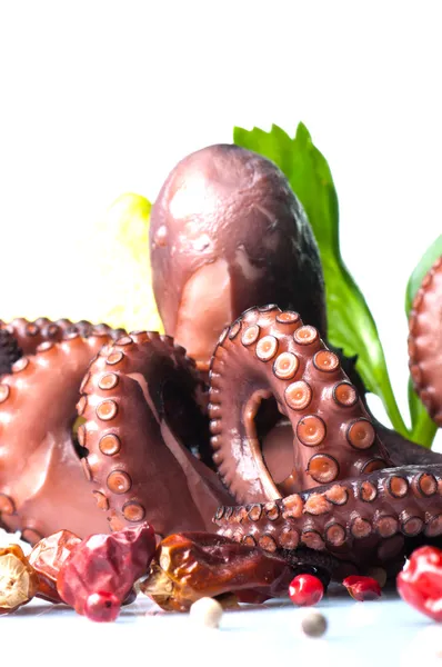 Octopus salade — Stockfoto
