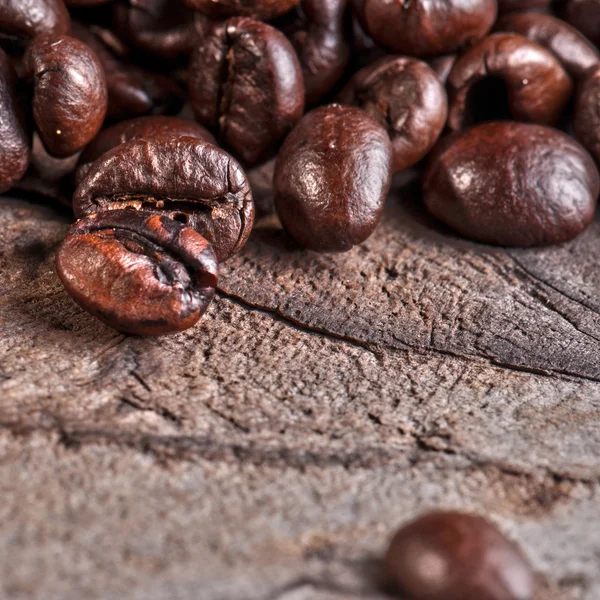 Coffee beans — Stock Photo, Image