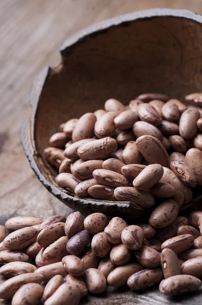 Naadloze textuur met peulvruchten — Stockfoto