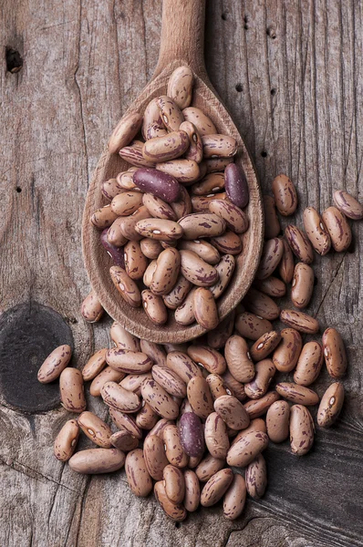 Naadloze textuur met peulvruchten — Stockfoto