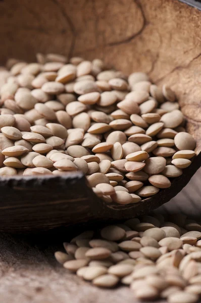 Seamless texture with legumes — Stock Photo, Image