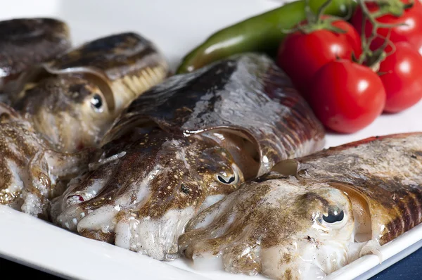 Fish dish — Stock Photo, Image