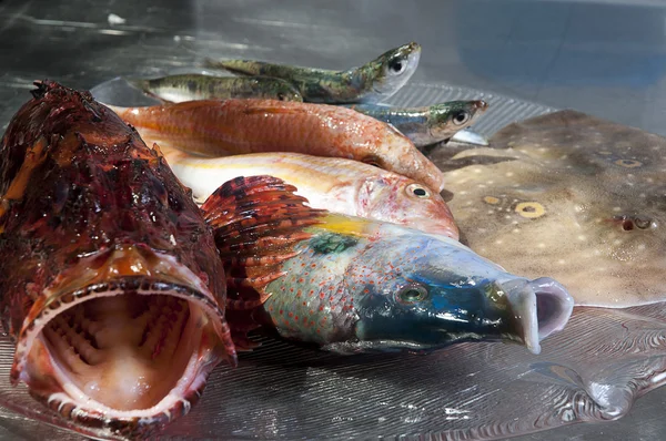 Plato de pescado —  Fotos de Stock