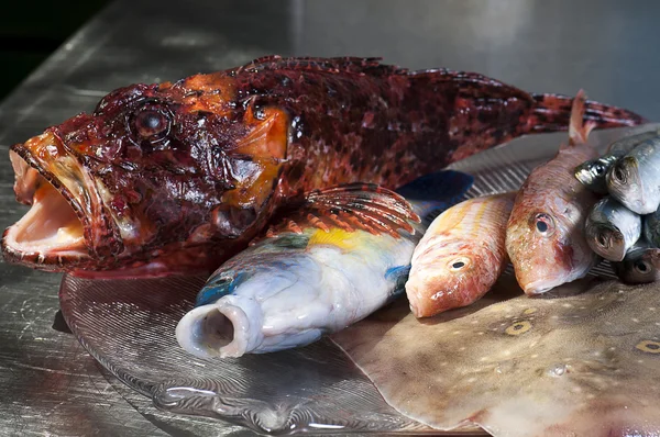 Рибне блюдо — стокове фото