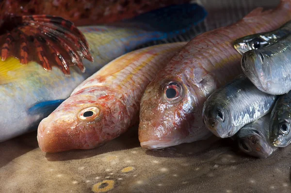 จานปลา — ภาพถ่ายสต็อก