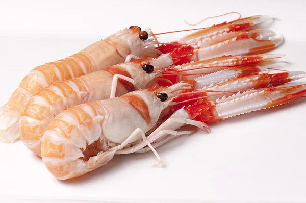 Färska scampi — Stockfoto