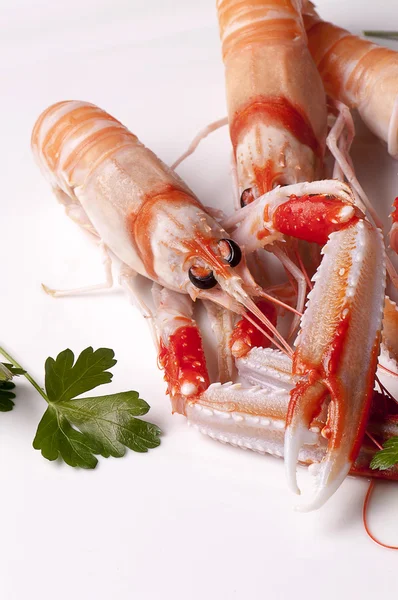 Färska scampi — Stockfoto