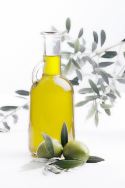 Olio ve zeytin