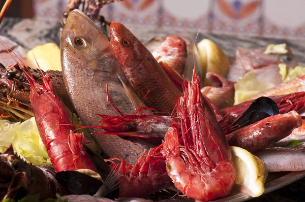 Mediterranean fish — Stock Photo, Image