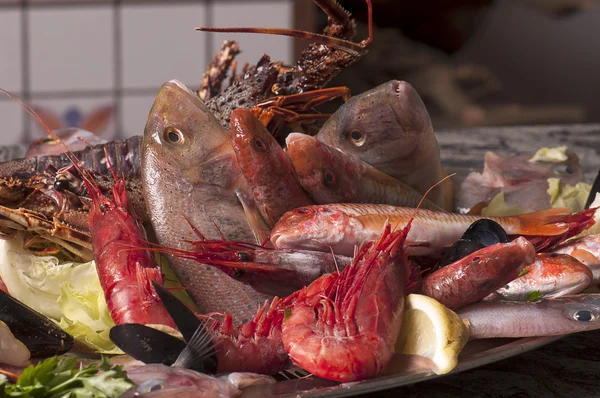 Mediterranean fish — Stock Photo, Image