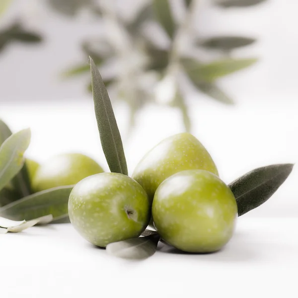 Olio ja oliivit — kuvapankkivalokuva
