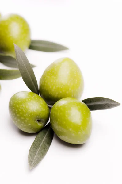 Olio and olives — Stock Photo, Image