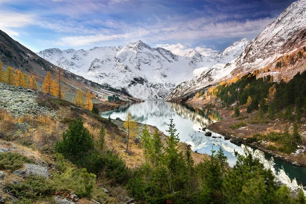 Grüne Bäume und schneebedeckte Berge — Stockfoto