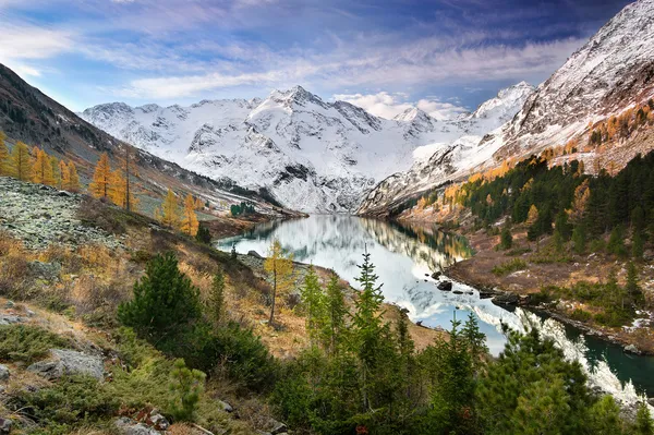 Green trees and snowy mountains — Stock Image Green trees and snowy mountains Royalty Free Stock Photos