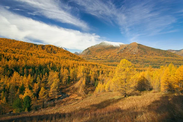 Skogar och berg — Stockfoto