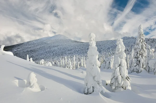 Montagne invernali — Foto Stock