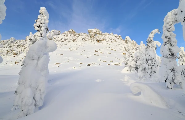 Montagne invernali — Foto Stock