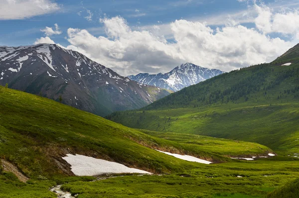 Montagne Altai — Foto Stock