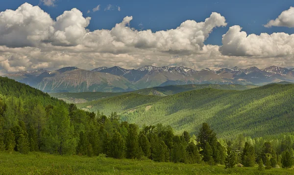 Altai bergen — Stockfoto