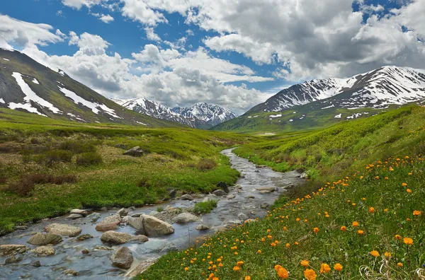 Montanhas Altai — Fotografia de Stock