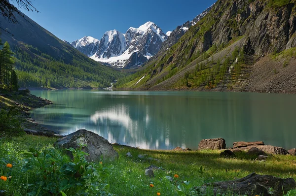 Pegunungan Altai — Stok Foto