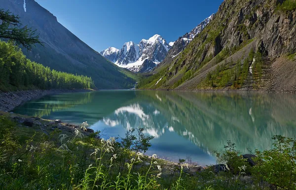 Altai bergen — Stockfoto