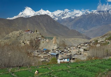 Himalayalar