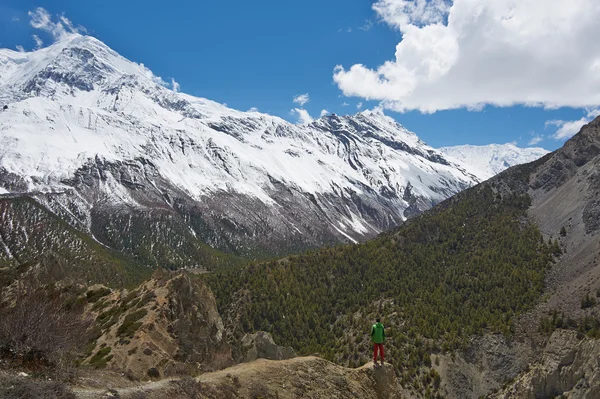 Himalayalar — Stok fotoğraf