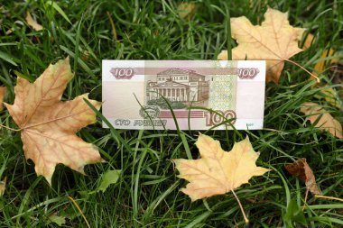 1997 yapımı 100 ruble. Rusya Bankası 'nın 1997' deki banknotu 100 ruble değerinde. Çimlerin üzerinde 100 rublelik banknot. Kanada akçaağaç yaprakları kuru. Sonbahar