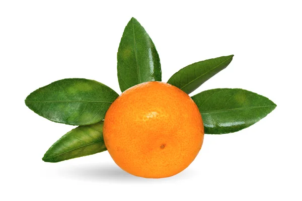 Juicy tangerine with green leaflets — Stock Photo, Image