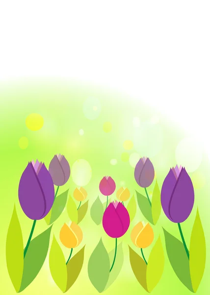 Tulpen op groene bokeh. lente achtergrond. — Stockvector