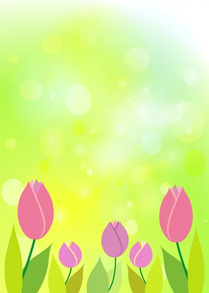 Tulpen op groene bokeh. lente achtergrond. — Stockvector