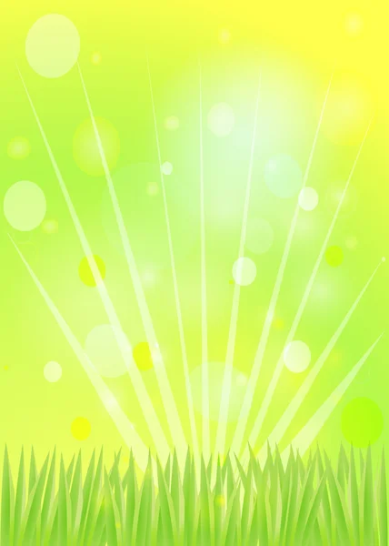 Colorful eggs on grass Easter background. — Stock Vector