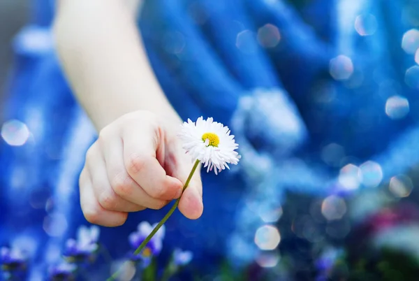 Child hand holding a flower, toned photo.