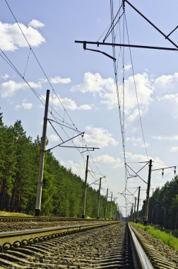 bir çam ormanda bir tren olduğunu.