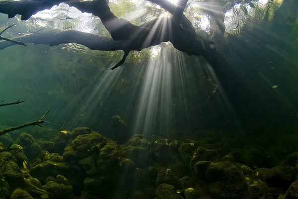 Underwater kingdom Stock Photo