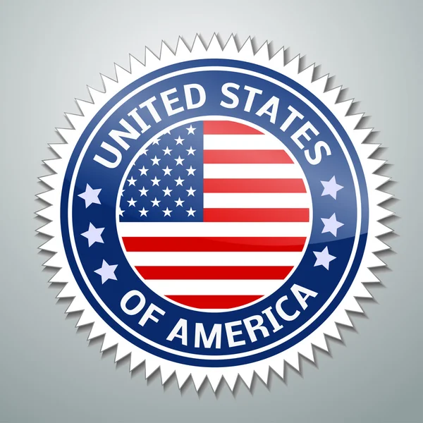 USA Flag — Stock Vector