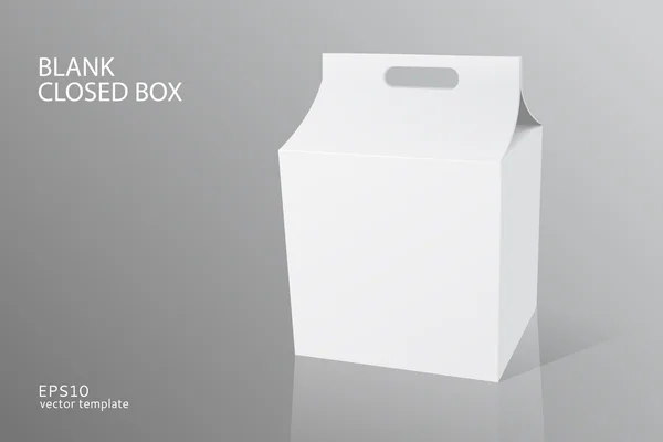 Embalagem em branco caixa fechada — Vetor de Stock