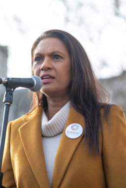 Londra, İngiltere, 5 Şubat 2022. Gina Miller, Seçim Yasa Tasarısına Karşı Oy Verin mitinginde Avam Kamarası 'na Orantılı Temsili' yi tanıtmak için kampanya yapıyor..