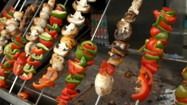 Kątowy Widok Boku Mięso Warzywa Produkcji Kebabów Grillowane Przenośnym Grillu — Wideo stockowe