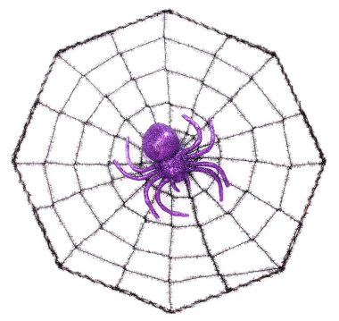 Web 'deki Örümcek beyaz üzerine izole