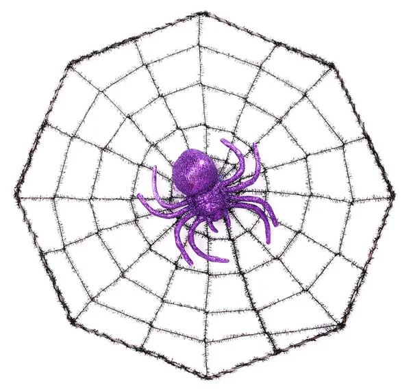 Web 'deki Örümcek beyaz üzerine izole