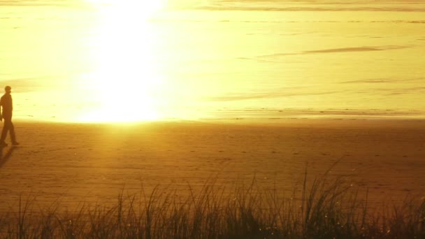 Dwa spacery podczas zachodu słońca na plaży — Wideo stockowe
