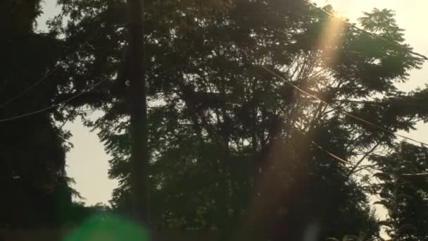 日没近くの木の枝のシルエットの後ろに太陽が輝いています。. — ストック動画